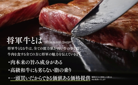 【将軍牛】特選ロースステーキ 500g【配送不可地域:離島・北海道・沖縄県】【1653402】