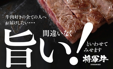 【将軍牛】特選ロースステーキ 500g【配送不可地域:離島・北海道・沖縄県】【1653402】