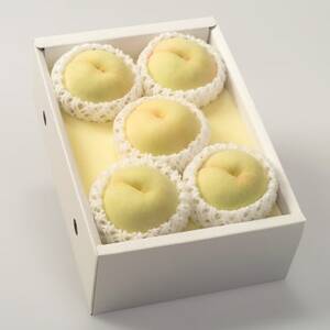 ◆先行受付◆ 岡山県産 清水白桃5~7玉 2026年発送【配送不可地域:離島・北海道・沖縄県】【1349770】