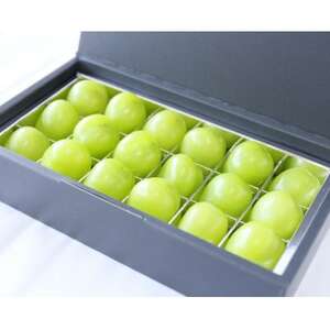 【11月-3月発送】氷温貯蔵マスカット冬姫(18粒)【配送不可地域：離島】【1569585】