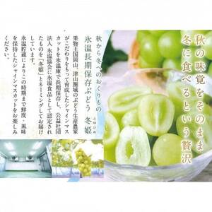 【11月-3月発送】氷温貯蔵マスカット冬姫(36粒)【配送不可地域：離島】【1569600】
