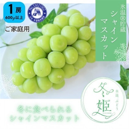 【11月-3月発送】氷温貯蔵マスカット冬姫(1房)【家庭用】【配送不可地域：離島】【1569899】
