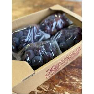 【2026年発送分】岡山県産 訳あり 朝摘みニューピオーネ 2kg(3～5房)【配送不可地域：離島】【1700083】