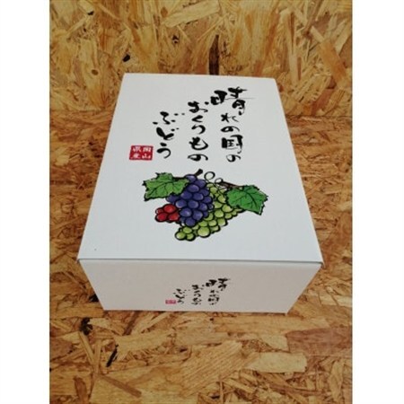 先行予約　岡山産　完熟ピオーネ　4～5房　2キロ以上【配送不可地域：離島】【1712303】