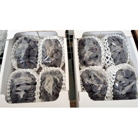 先行予約　岡山産　完熟ピオーネ　4～5房　2キロ以上【配送不可地域：離島】【1712303】