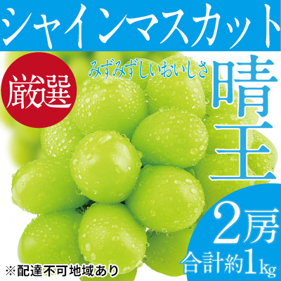 ぶどう 2026年 先行予約 シャイン マスカット 晴王 2房（合計約1kg） ブドウ 葡萄  岡山県産 国産 フルーツ 果物 ギフト