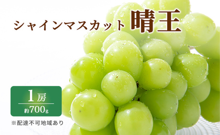 ぶどう 2026年 先行予約 特選 シャイン マスカット 晴王 1房 約700g ブドウ 葡萄  岡山県産 国産 フルーツ 果物 ギフト いろは堂