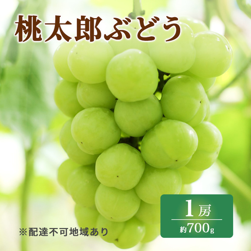 ぶどう 2026年 先行予約 特選 桃太郎 ぶどう 1房 約700g ブドウ 葡萄  岡山県産 国産 フルーツ 果物 ギフト いろは堂