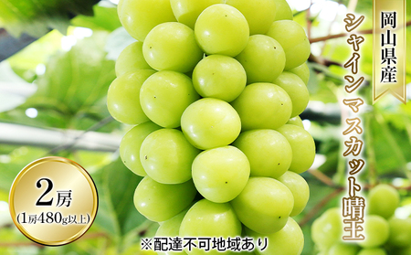 ぶどう 2026年 先行予約 シャイン マスカット 晴王 2房入り（1房 480g以上 ハウス栽培） ブドウ 葡萄  岡山県産 国産 フルーツ 果物 ギフト