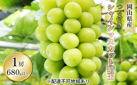 ぶどう 2026年 先行予約 つる付き シャイン マスカット 晴王 1房 680g以上（露地栽培） ブドウ 葡萄  岡山県産 国産 フルーツ 果物 ギフト 7,110円