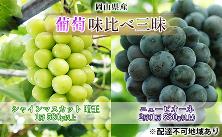 ぶどう 2026年 先行予約 葡萄 味比べ三昧 シャイン マスカット  晴王 1房 580g以上 ニュー ピオーネ  2房（1房 580g以上）（ハウス栽培）詰合せ ブドウ 葡萄  岡山県産 国産 フルーツ 果物 ギフト