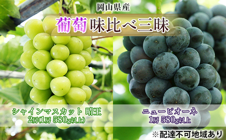 ぶどう 2026年 先行予約 葡萄 味比べ三昧 シャイン マスカット 晴王 2房（1房 580g以上）ニュー ピオーネ  1房 580g以上（ハウス栽培）詰合せ ブドウ 葡萄  岡山県産 国産 フルーツ 果物 ギフト