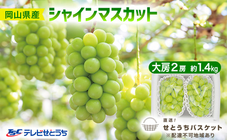 ぶどう 2026年 先行予約 シャインマスカット 大房 2房 約1.4kg ブドウ 葡萄 岡山県産 国産 フルーツ 果物 直送！せとうちバスケット 6,660円