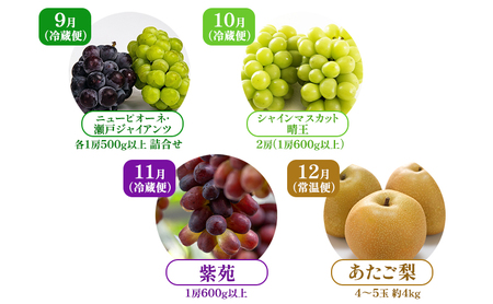 ぶどう 梨 定期便 2026年 先行予約 フルーツ王国 岡山を堪能 4回コース 秋・冬物語 葡萄 ぶどう 梨 なし 岡山県産 国産 果物 セット ギフト 