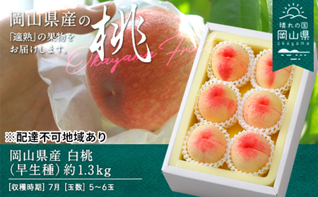 桃 2026年 先行予約 白桃 早生種 約1.3kg  5～6玉 もも モモ 岡山県産 国産 フルーツ 果物 ギフト