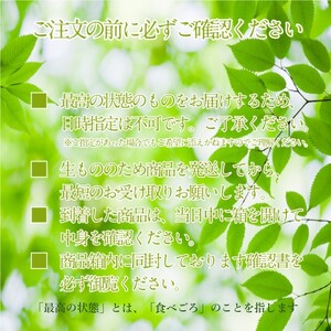 ぶどう 2026年度分 先行予約 【プレミアムシャインマスカット 晴王 2房 約1.4kg】船穂産　赤秀品以上  岡山県産 葡萄 ブドウ ギフト ハレノフルーツ 皮ごと食べる みずみずしい 