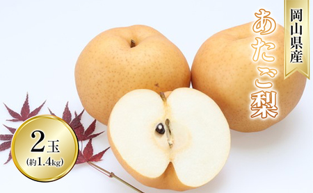 梨 2026年 先行予約 あたご梨 2玉 青秀以上 (約1.4kg) 化粧箱入り