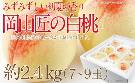 もも 2026年 先行予約 岡山匠の白桃 約2.4kg 7～9玉 犬塚農園 岡山県産 白桃 桃 モモ ギフト 初夏 みずみずしい