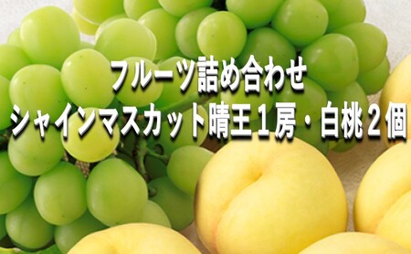 桃 ぶどう 【2026年 早期受付】 フルーツ詰め合わせ シャインマスカット 晴王 1房・ 白桃 2個 もも ブドウ 葡萄 岡山県産 国産 フルーツ 果物 ギフト
