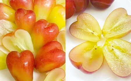 ぶどう 【2026年 早期受付】 マイハート 1房 約500g ブドウ 葡萄 岡山県産 国産 フルーツ 果物 ギフト