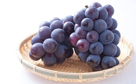 ぶどう 【2026年 先行予約】 ニュー ピオーネ 4房 合計2kg以上 ブドウ 葡萄 岡山県産 国産 フルーツ 果物 ギフト