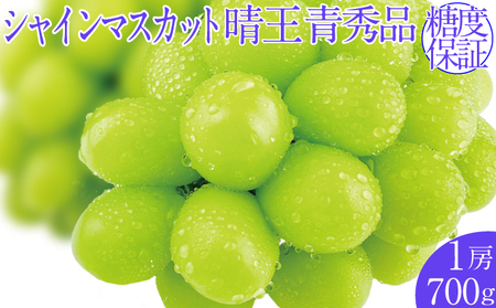 2026年予約受付中 シャインマスカット晴王 7月～8月出荷 1房 約700g  人気 岡山県産 種無し 皮ごと食べる みずみずしい  フレッシュ 晴れの国 おかやま 果物大国 ハレノフルーツ