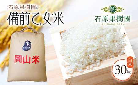 米 令和7年産 石原果樹園の備前乙女米 白米 30kg×1袋 ※11月上旬~順次発送予定 お米 精米 白米 ライス 乳酸菌栽培 岡山県 おにぎり お弁当