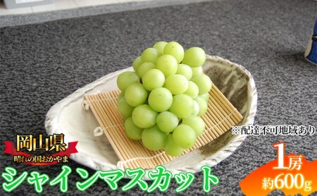 ぶどう 2026年先行予約 シャインマスカット 1房 約600g  岡山県産 お届け 9月上旬～10月中旬
