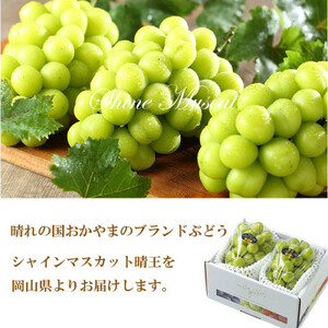 【2026年7月上旬より発送】岡山県産 シャインマスカット 晴王 600g×2房 ぶどう 葡萄 ブドウ フルーツ 果物
