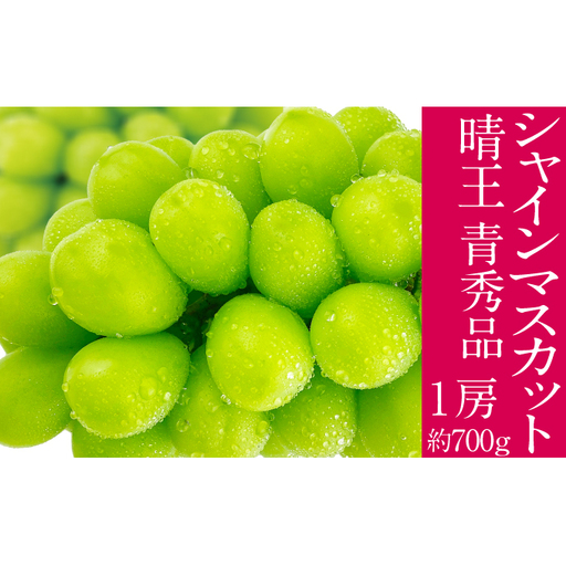 2026年予約受付中 シャインマスカット 晴王 7月～8月出荷 1房 約700g  人気 岡山県産 種無し 皮ごと食べる みずみずしい  フレッシュ 晴れの国 おかやま 果物大国 ハレノフルーツ