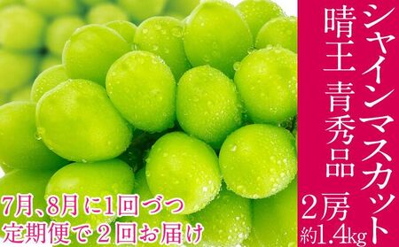 2025年予約受付中【2回定期便】 シャインマスカット 晴王 7月8月 2025年予約受付中【2回定期便】 シャインマスカット 晴王 7月8月