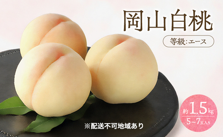桃 2026年 先行予約 白桃 等級 エース 約1.5kg 5～7玉入り もも モモ 岡山 国産 フルーツ 果物 桃茂実苑