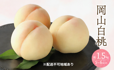 桃 2026年 先行予約 白桃 1.5kg 5～6玉 もも モモ 岡山 国産 フルーツ 果物 ギフト 桃茂実苑