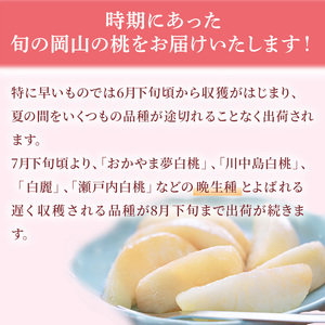 桃 2025年 先行予約 ご家庭用 白桃（晩生種）5～6玉 合計約1.5kg もも モモ 岡山県産 国産 フルーツ 果物 ギフト