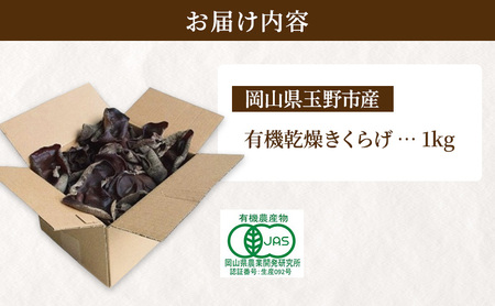 【 産地直送 】 有機JAS 生きくらげ 1kg  オーガニック きくらげ 野菜 きのこ 岡山県 玉野市 栽培期間中化学肥料不使用 栽培期間中農薬不使用 野菜セット 