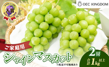 ぶどう 2026年 先行予約 ［ご家庭用］ シャイン マスカット 2房（合計1kg以上）  ブドウ 葡萄  岡山県産 国産 フルーツ 果物 OEC KINGDOM ぶどう家 果物類 6,480円