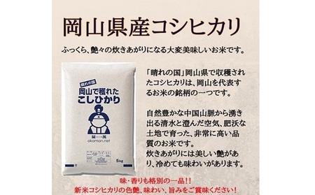 令和5年産 こしひかり 15kg (5kg×3袋) 岡山県産 精米 お米