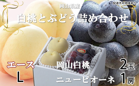 ぶどう 2026年 先行予約 岡山 白桃 エース 2玉×約200g（Lサイズ、早生種・中生種）ニュー ピオーネ 1房約400g  詰め合わせ 岡山県産 フルーツ