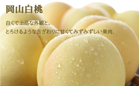 ぶどう 2026年 先行予約 岡山 白桃 エース 2玉×約200g（Lサイズ、早生種・中生種）ニュー ピオーネ 1房約400g  詰め合わせ 岡山県産 フルーツ