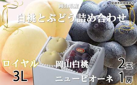 桃 ぶどう 2026年 先行予約 岡山 白桃 ロイヤル 2玉×約300g（3Lサイズ、早生種・中生種）ニュー ピオーネ 1房約600g  詰め合わせ 岡山県産 フルーツ 