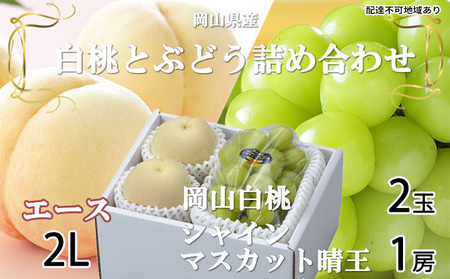 桃 ぶどう 2026年 先行予約 岡山 白桃 エース 2玉×約250g（2Lサイズ、早生種・中生種）シャイン マスカット 晴王 1房約500g  詰め合わせ 岡山県産 フルーツ