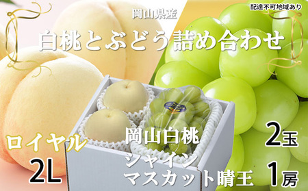 桃 ぶどう 2026年 先行予約 岡山 白桃 ロイヤル 2玉×約250g（2Lサイズ、早生種・中生種）シャイン マスカット 晴王 1房約500g  詰め合わせ 岡山県産 フルーツ