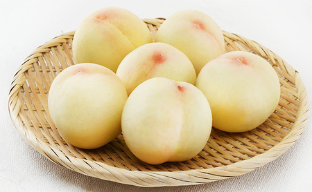 桃 2026年 先行予約 白桃 6玉(1玉250g以上)等級: ロイヤル 化粧箱入り もも モモ 岡山県産 国産 フルーツ 果物 ギフト 最高等級品 糖度12.0度以上 芳潤な香り贈答用 果汁滴る