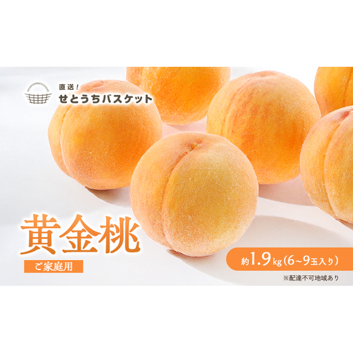 桃 2026年 先行予約 岡山 黄金桃 ご家庭用 約2kg 6～9玉入り もも モモ 岡山県産 国産 フルーツ 果物 直送！せとうちバスケット スイーツ こだわり 特産品 白い 香り 果汁 シーズン 濃厚