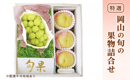 桃 ぶどう 2026年 先行予約 特選 岡山の旬の果物詰合せ-2 もも ブドウ  葡萄 晴王 岡山県産 国産 フルーツ 果物 ギフト 岡山白桃 大玉 3玉 シャインマスカット お取り寄せ 季節の果物