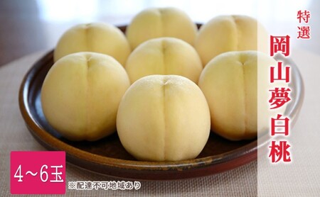 桃 2026年 先行予約 特選 おかやま夢白桃 4～6玉 1.5k箱（正味内容量1.3kg以上）もも モモ 岡山県産 国産 フルーツ 果物 ギフト