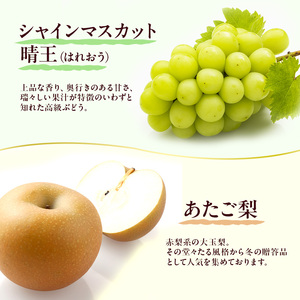 フルーツ 定期便 2026年 先行予約 フルーツ王国 岡山を堪能 6回コース 夏・秋・冬物語 桃 もも 葡萄 ぶどう 梨 なし岡山県産 国産 果物 セット ギフト 瀬戸ジャイアンツ シャインマスカット 晴王 紫苑 