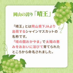 ぶどう 2026年 先行予約 ご家庭用 シャイン マスカット 晴王 3～6房 約1.5kg ブドウ 葡萄  岡山県産 国産 フルーツ 果物 太陽 美しい 外観 大粒 高糖度 種なし 皮ごと 弾力 食感 美味しい 
