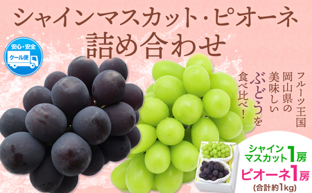 【2026年先行予約】シャインマスカット・ピオーネ詰め合わせ 約1.0kg マスカット 葡萄 ブドウ ぶどう ピオーネ フルーツ セット 晴れの国おかやま館 《2026年8月下旬~10月下旬頃出荷》 フルーツ 果物 果実 岡山県 笠岡市