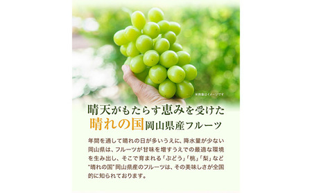 【2026年発送先行予約】桃・ピオーネ詰め合わせ 約1kg クール便 冷蔵便 桃 もも 葡萄 ブドウ ぶどう ピオーネ フルーツ セット 先行予約 晴れの国おかやま館 《2026年8月下旬~9月中旬頃出荷》 フルーツ 果物 果実 岡山県 笠岡市
